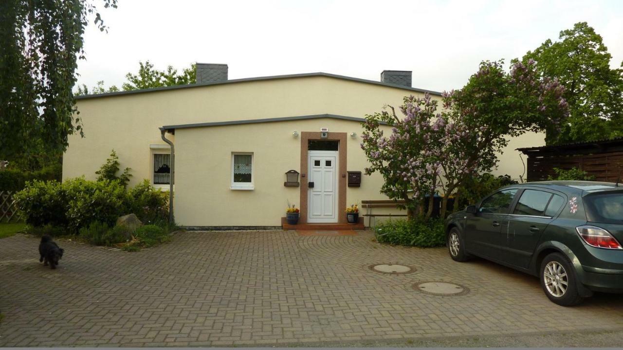 Pension Rosenvilla Sedlitz Exterior photo